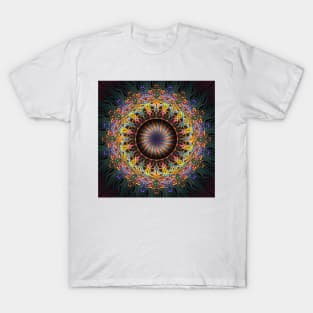 Tambourine T-Shirt